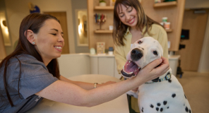 The exterior of Chewy Vet Care Midtown