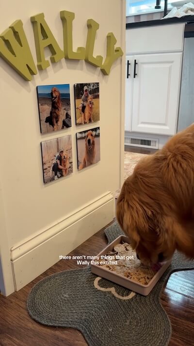 An update from @wally.meets.world